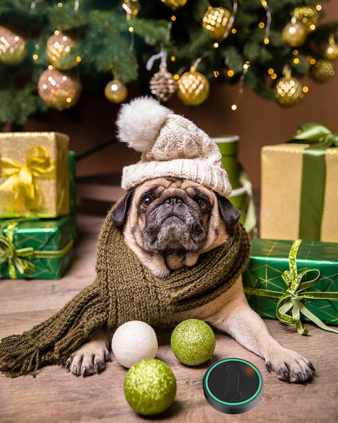 Potty Training Bell for Puppies - They will let you know, when they need to go out.