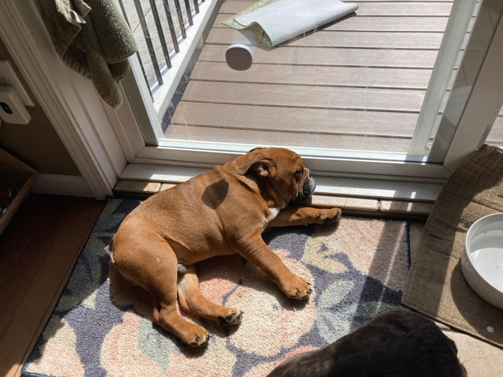 What Our Users Are Saying: A Testament to Excellence