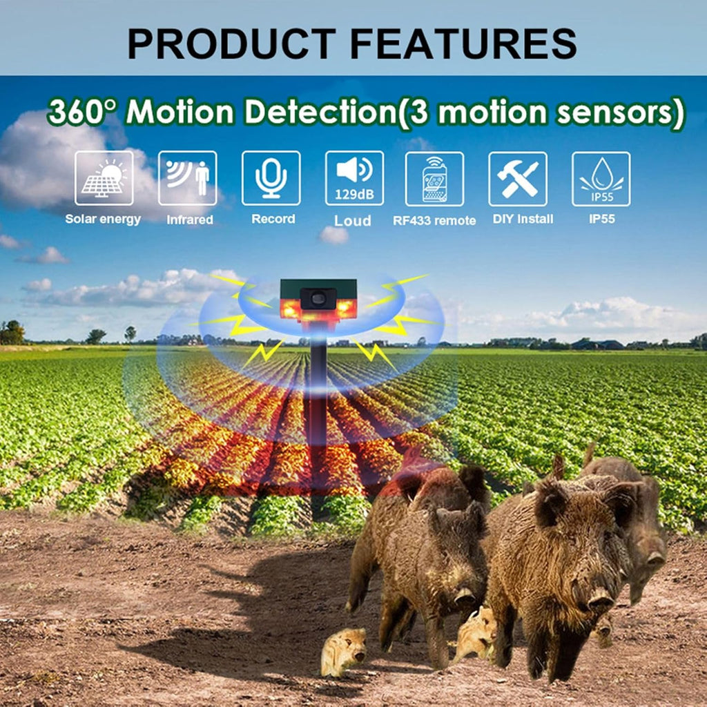 Daytech Motion Detector: A Customer’s Ingenious Solution Against Raccoons