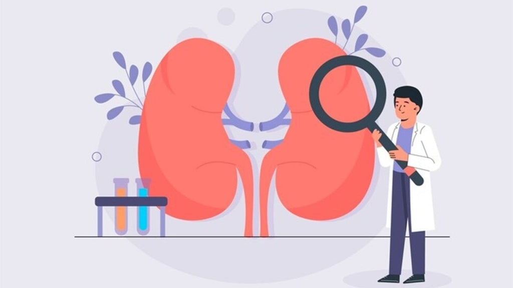 Dayetch How Accurate is a Blood Test in Detecting Kidney Damage and Chronic Kidney Disease?