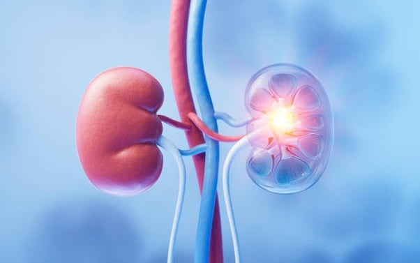 What Medications Should Be Avoided with Kidney Disease?