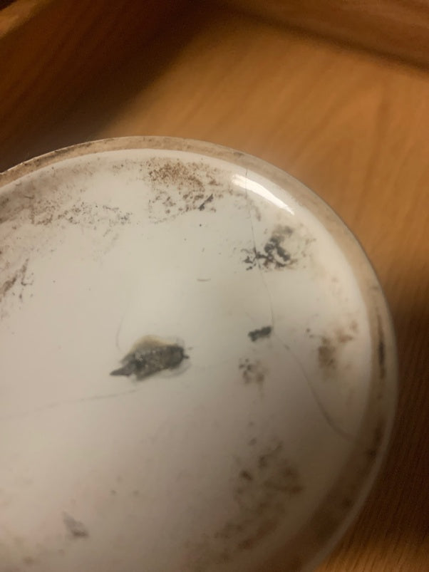 Microwave Magic: Unveiling the Surprising Science of What Should Never Meet Its Rays