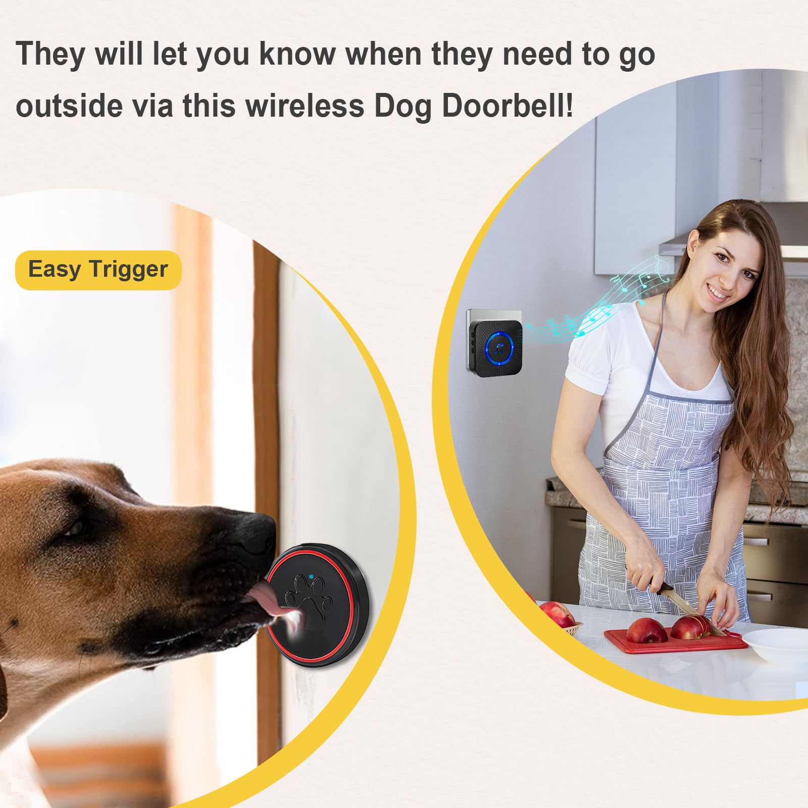 Sonnette de porte sans fil pour chien Daytech - Entraînement à la propreté et au-delà ! 🐾