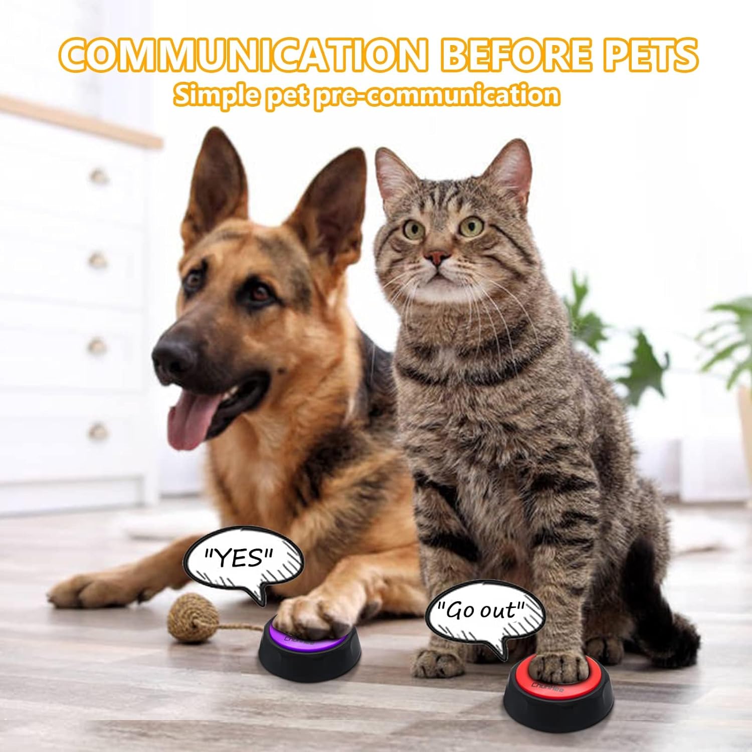 Daytech Dog Buttons - The Ultimate Dog Communication Kit for Training, Fun, and Bonding (4-Pack)