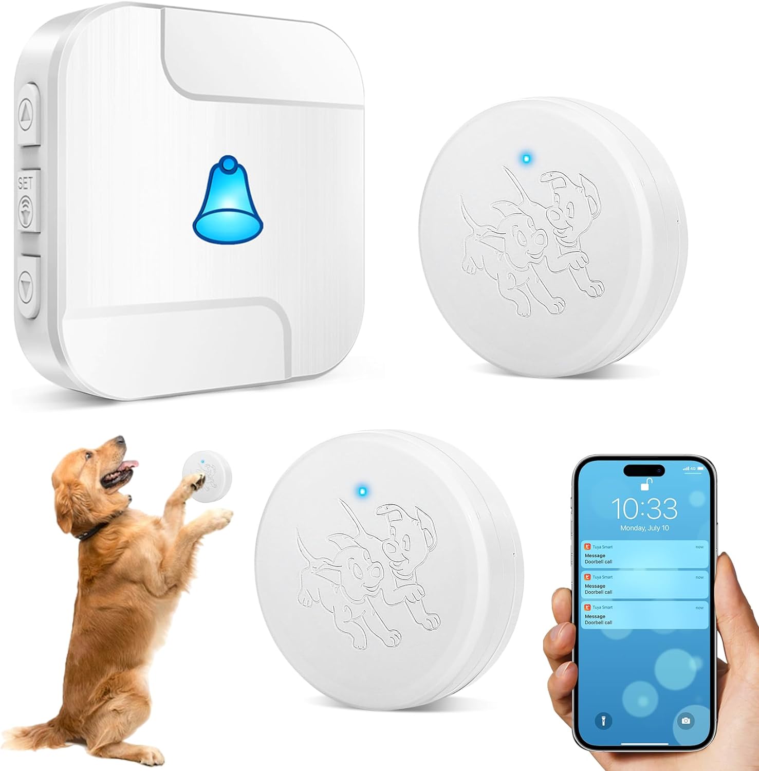 Timbre inteligente WiFi para perros Daytech para entrenamiento para ir al baño y una vida tranquila