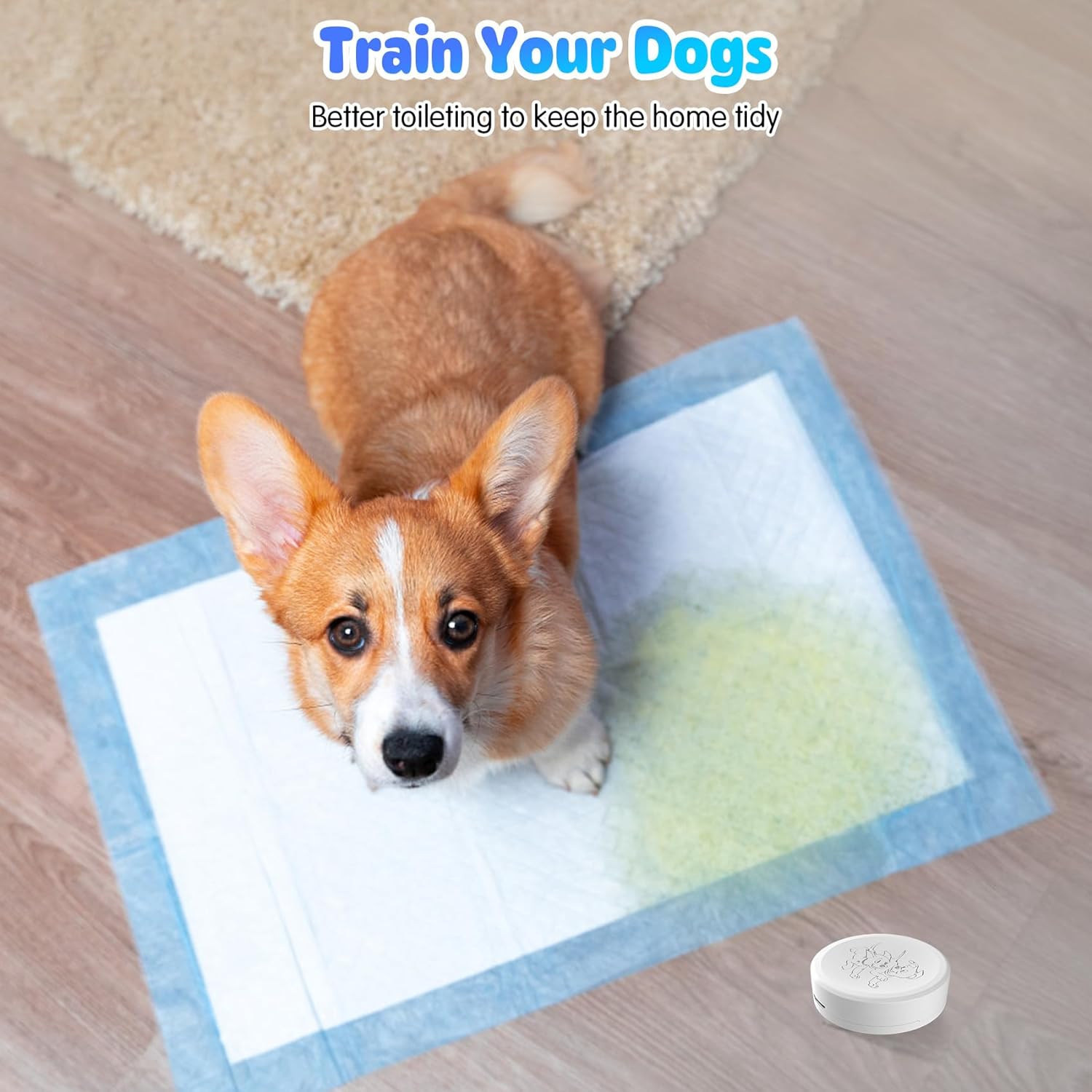 Timbre inteligente WiFi para perros Daytech para entrenamiento para ir al baño y una vida tranquila