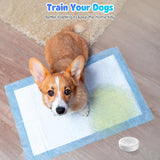 Timbre inteligente WiFi para perros Daytech para entrenamiento para ir al baño y una vida tranquila