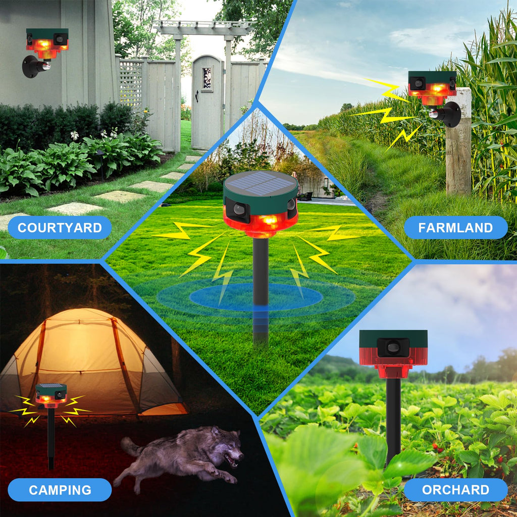 Outdoor Motion Sensor Alarm