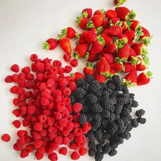 Navigating the Kaleidoscope of Berries: A Berrylicious Journey to Health and Happiness! 🍓