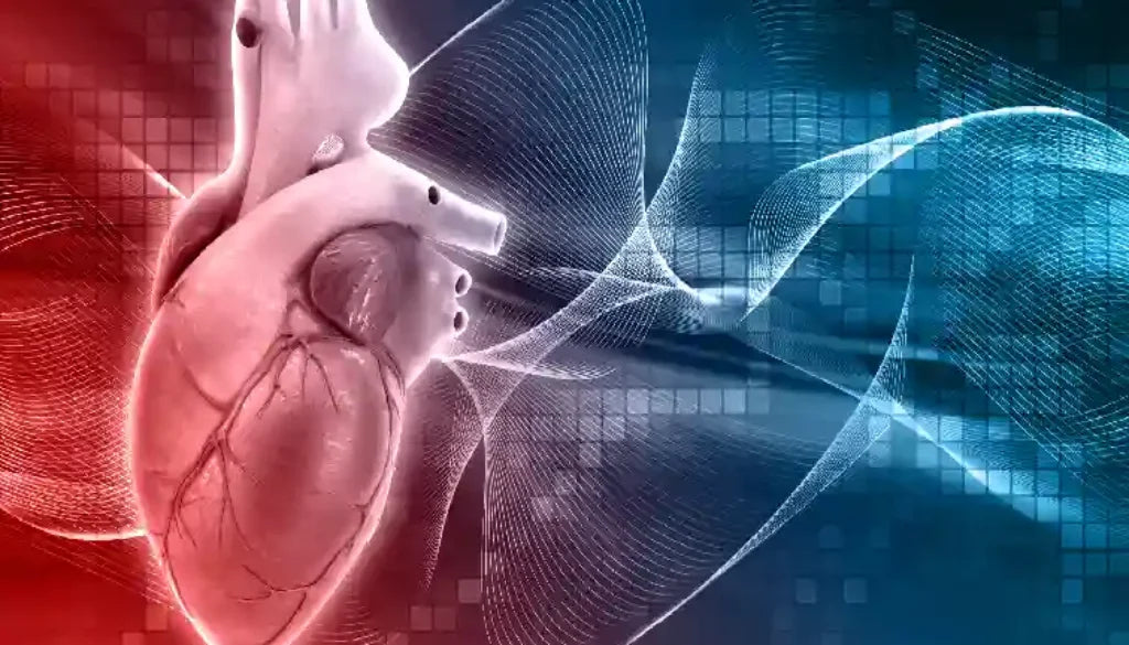 Navigating the Maze of Cardiovascular Health: Exploring Factors Behind Heart Disease 💔🗺️