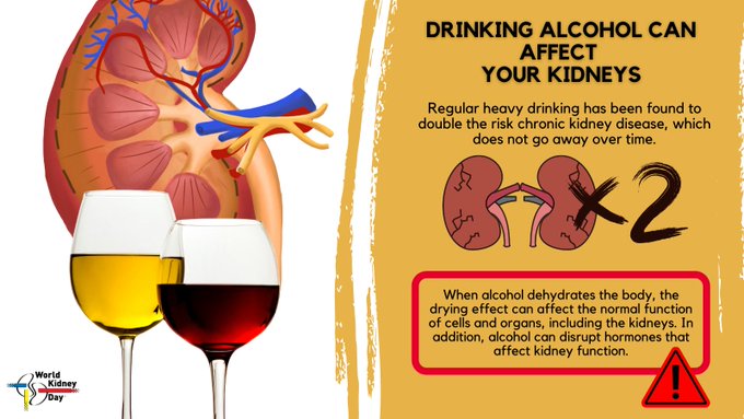 🍷🍺 Alcohol and Chronic Kidney Disease: Balancing Act for Better Health 🍺🍷