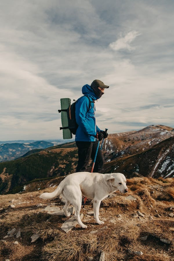 Walking: The High-Percentage Play for Overall Health