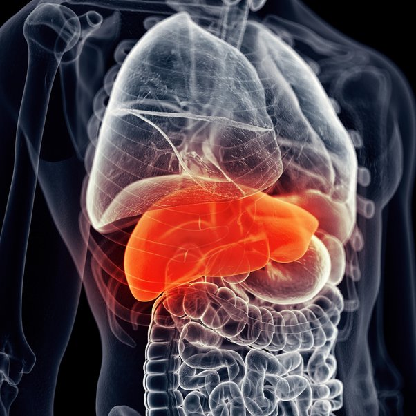 🍔🍟🥤 Wondering what foods might not be your liver's best friends? Here's a quick rundown